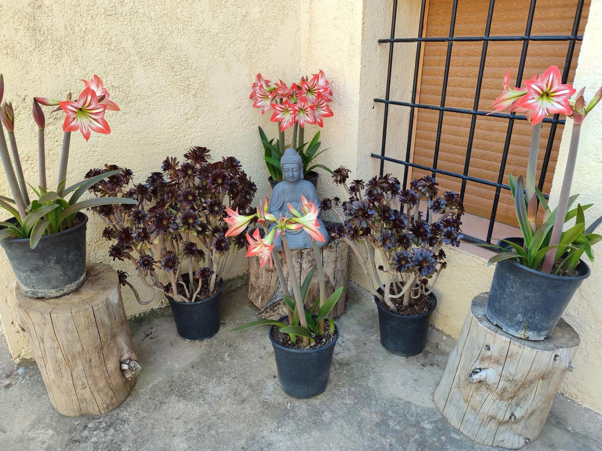 Vivienda Rural Belen Villa Pozo Alcon Ruang foto